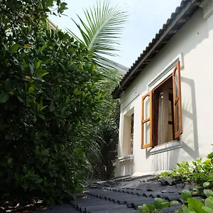 Moon House Tropical Garden - Lavender Нячанг